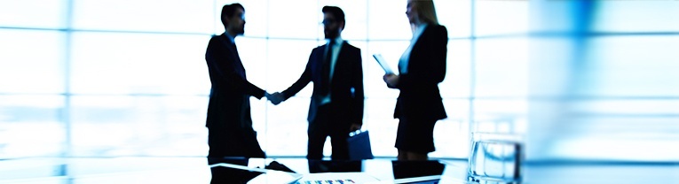 Appendix FM Allows for the Consideration of Specificities of a Case