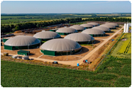 Start a Renewable Energy Business in the UK as a Foreigner- Biomass Energy